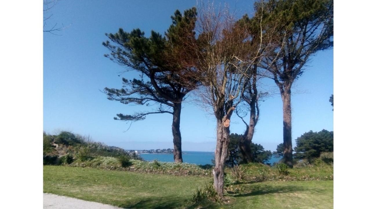 Les Hortensias Grande Tente Familiale Deux Chambres Et Sejour Vue Mer Sur Camping Nature Plestin-les-Grèves المظهر الخارجي الصورة
